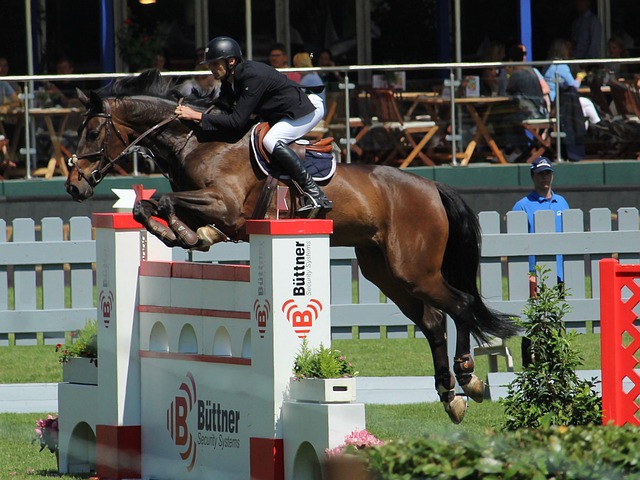 贝蒂斯双核 贝蒂斯双核