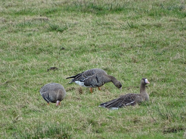 的心理负担 的心理负担